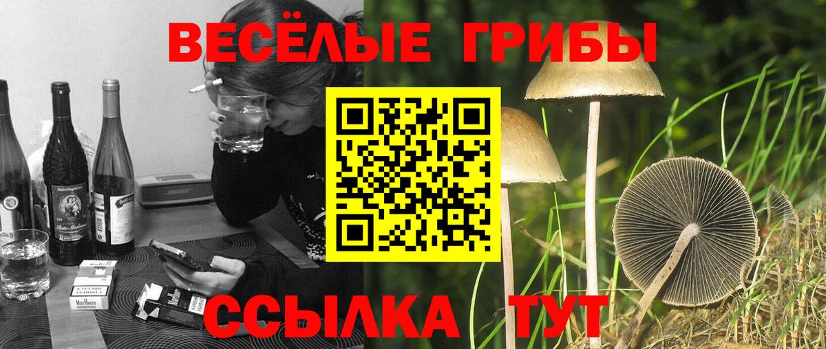Псилоцибиновые грибы MAGIC MUSHROOMS  Вход с VPN  Коломна  Галлюциногенные грибы GOLDEN TEACHER 